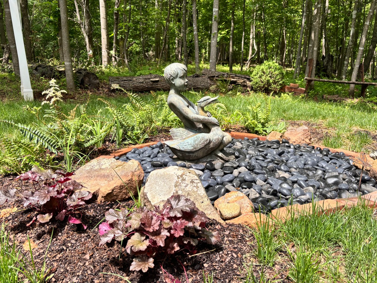 A Garden Pond